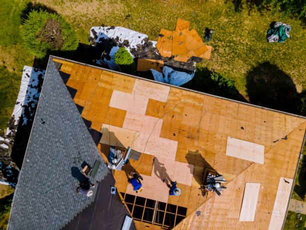 Best Metal Roofing Contractor  in White Pigeon, MI