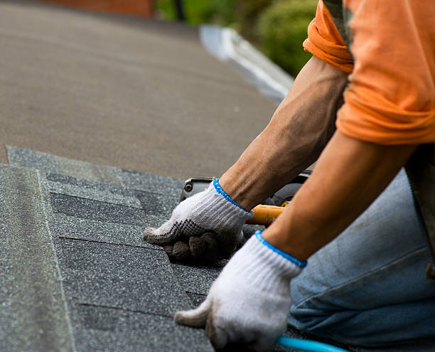 Sealant for Roof in White Pigeon, MI