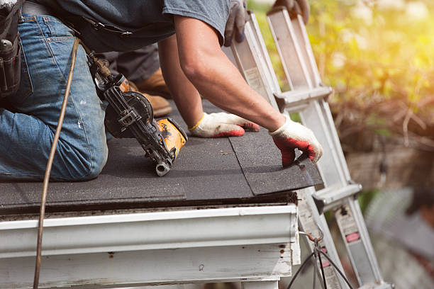 Best Roof Repair Services  in White Pigeon, MI