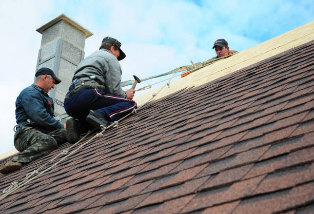 Best Roof Maintenance Services  in White Pigeon, MI